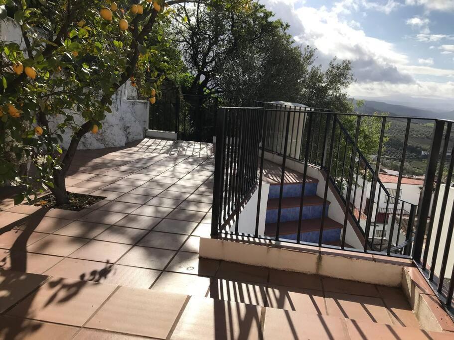 Mirador Del Olivar Olvera Exterior foto